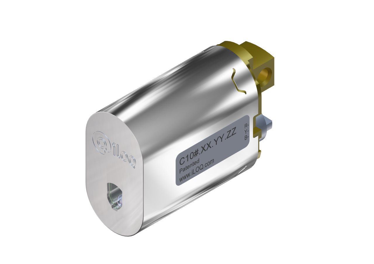 Privus Oval Cylinder