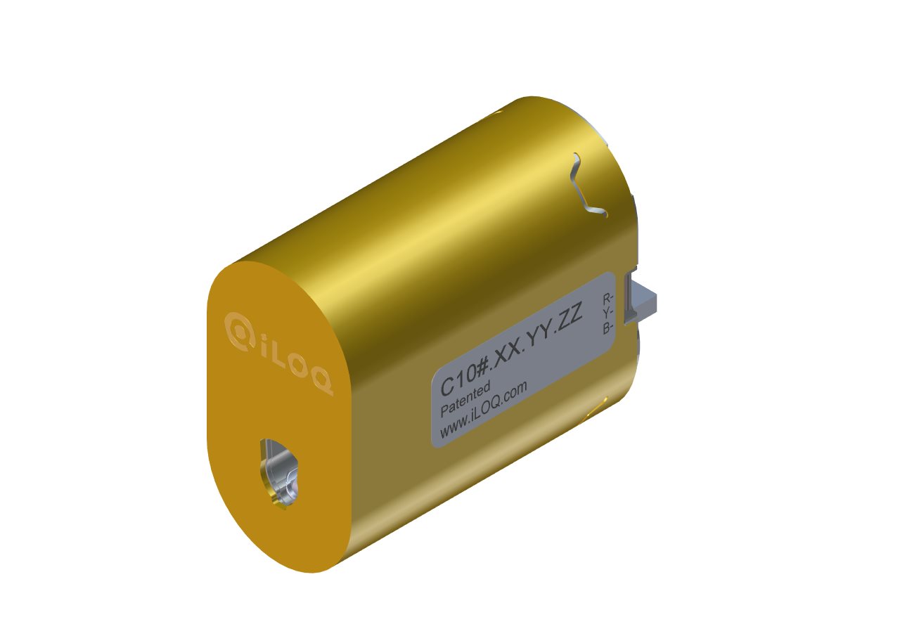 Privus Oval Cylinder