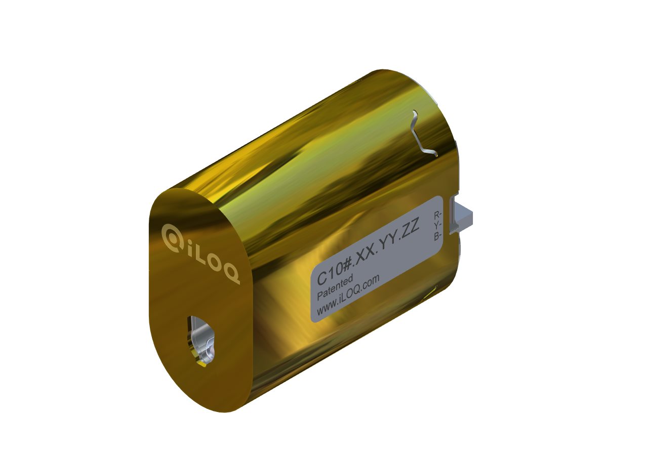 Privus Oval Cylinder